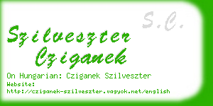 szilveszter cziganek business card